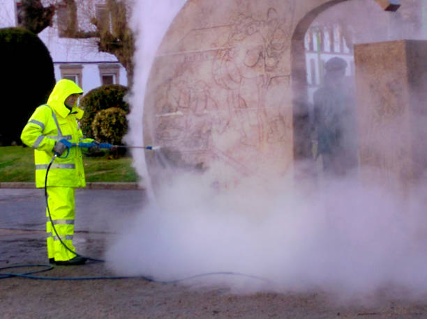 Best Best Pressure Washing Companies  in Brogden, NC